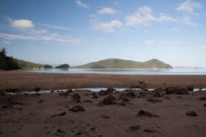 The view from Sawmill Beach to Cid Harbour
