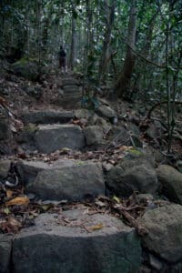 Stairs leading up to Whitsunday Peak