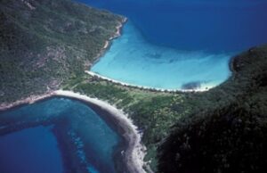 Neck Bay