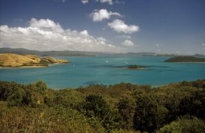 View from Hammo