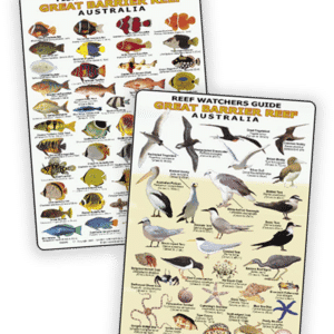 Great Barrier Reef Birds, Corals and Fish Identification Cards